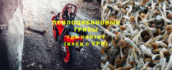 PSILOCYBIN Грязи