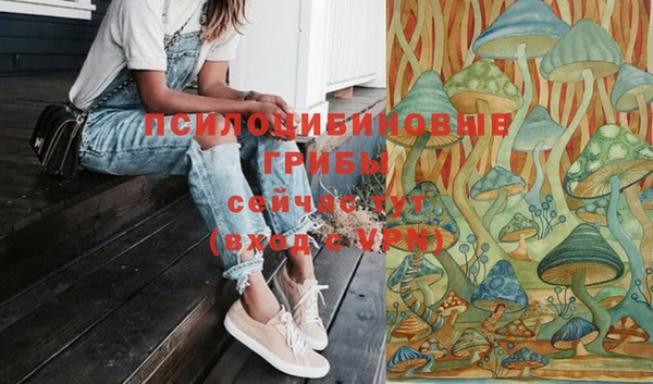 героин Покачи