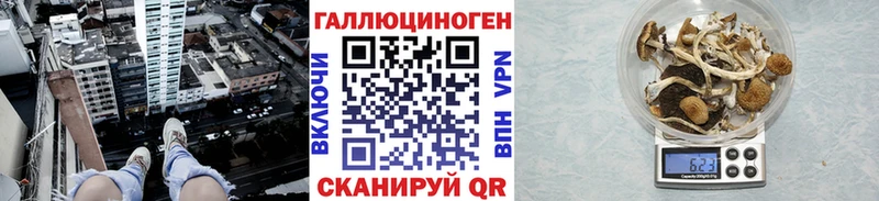Галлюциногенные грибы Cubensis  Собинка 